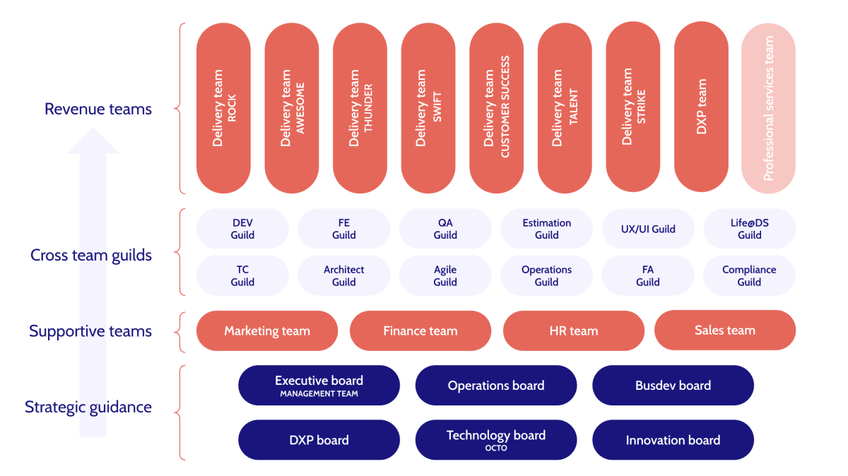 governance model dropsolid